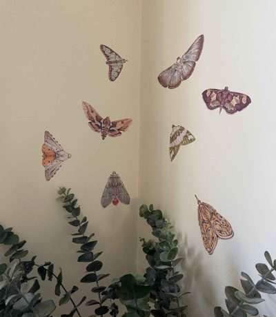 Moths Wall Decals Corner