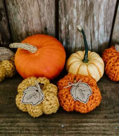 new chunky crochet pumpkins