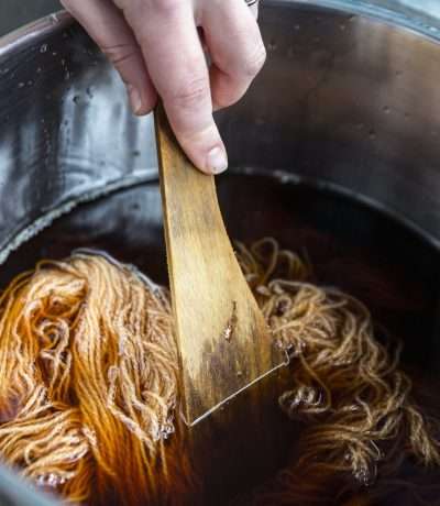 Ria Burns natural dyeing workshop