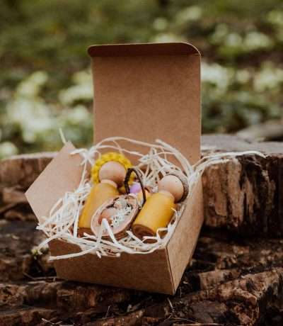 Acorn people gift box set