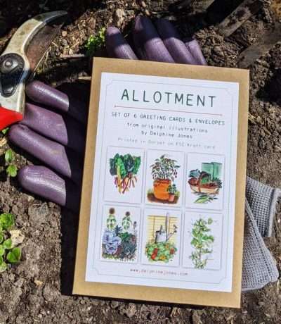 allotment cards in box