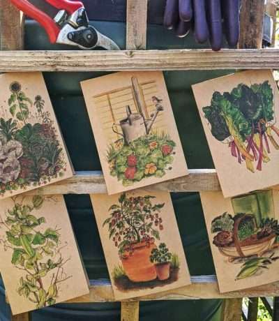 allotment cards main