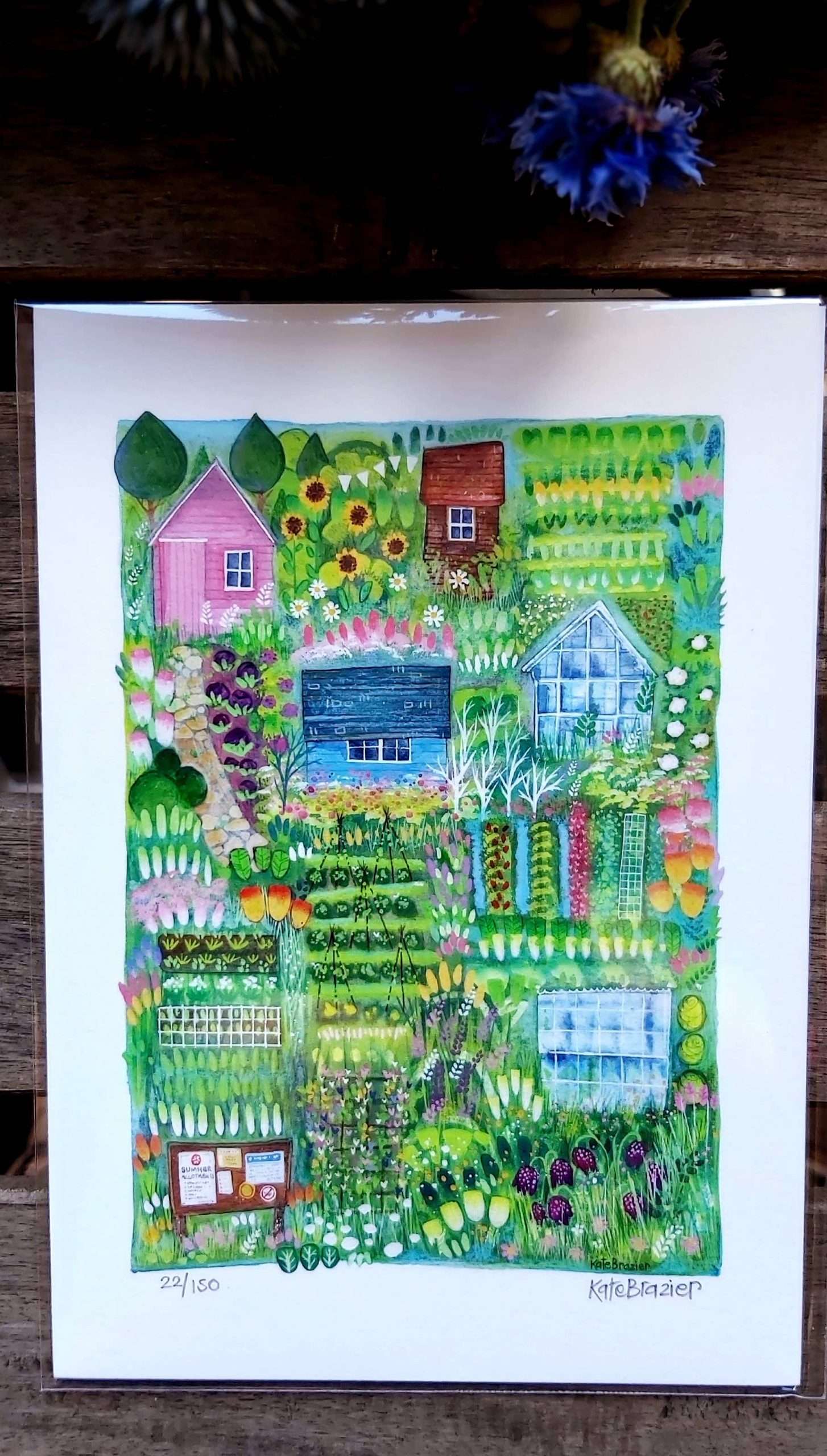 allotment gardens