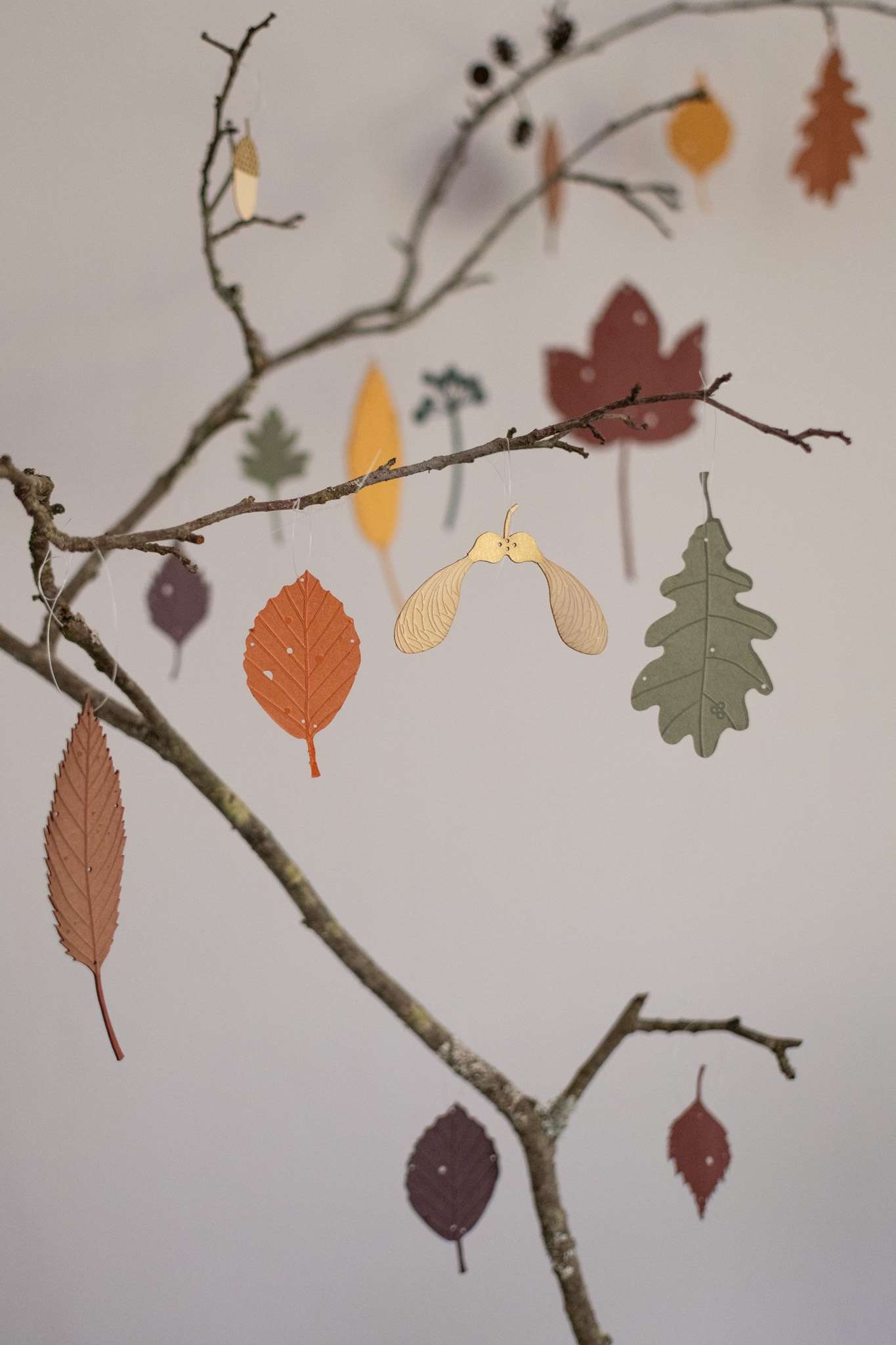 autumn leaves large set hannah nunn 1