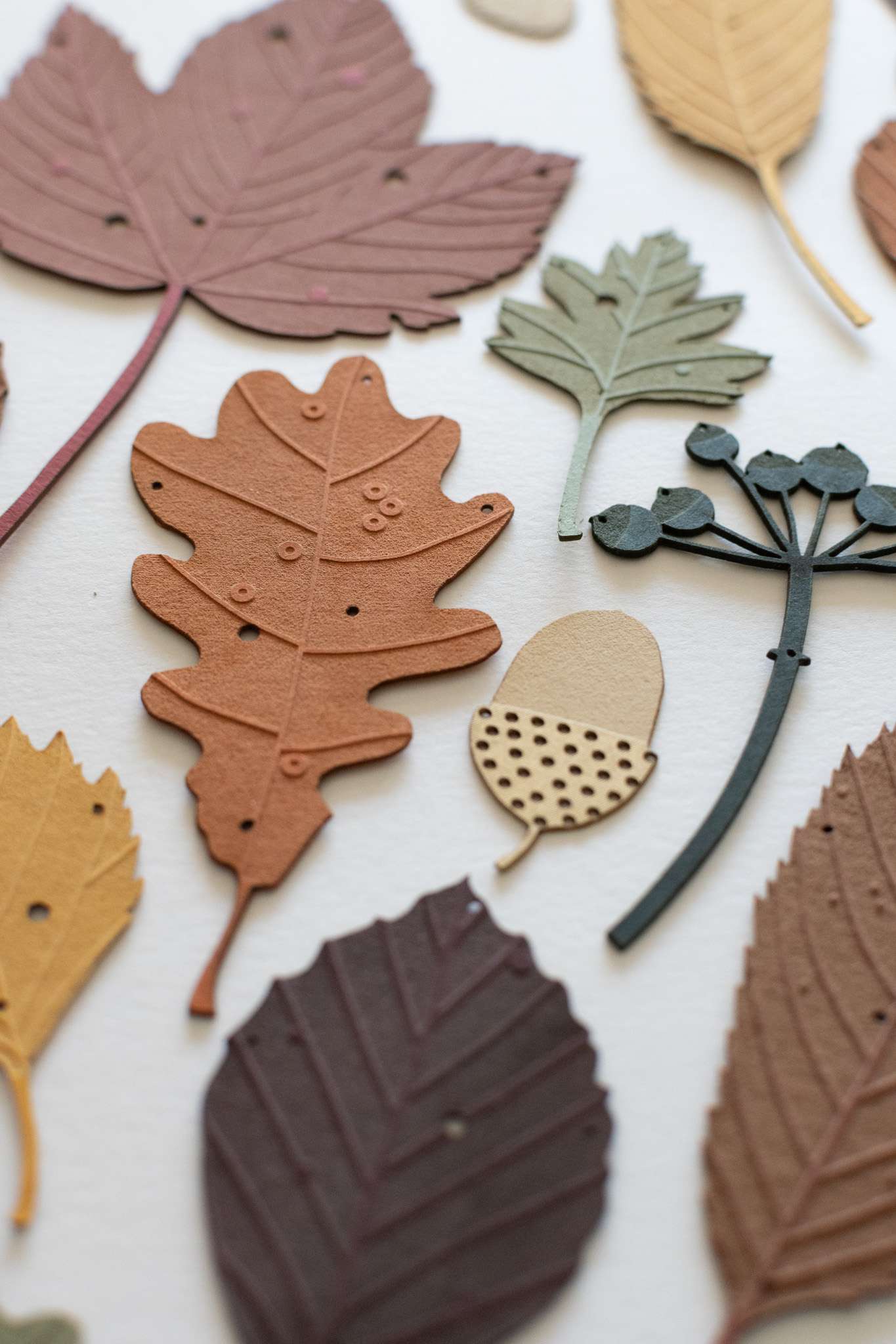 autumn leaves set of 15 close up