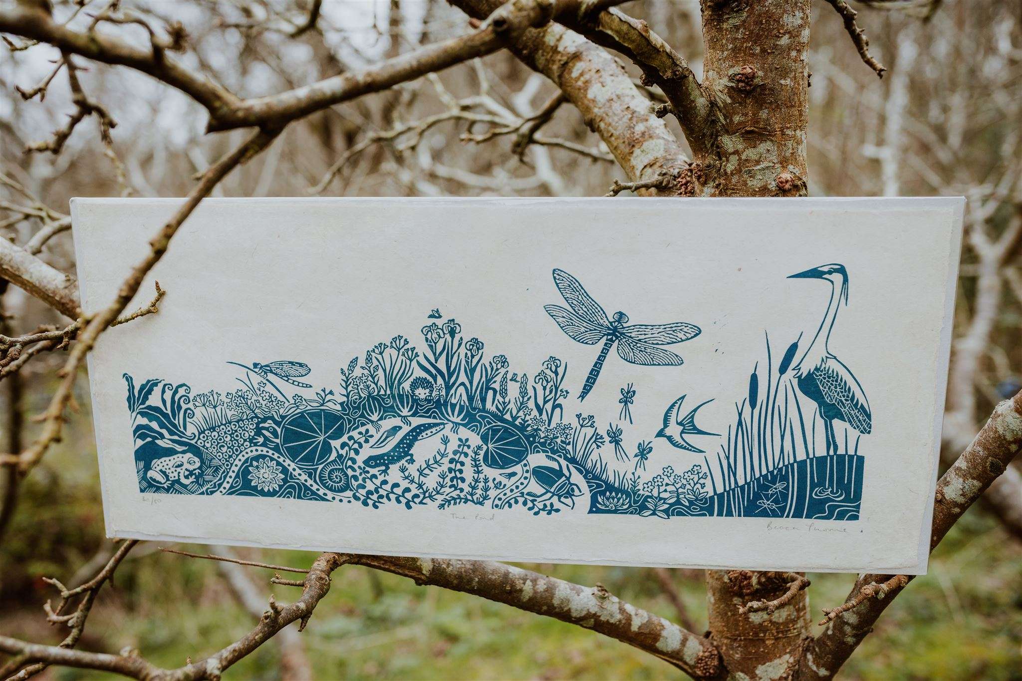 Becca Thorne The Pond Lino Print