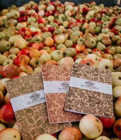 orchard notebooks portrait