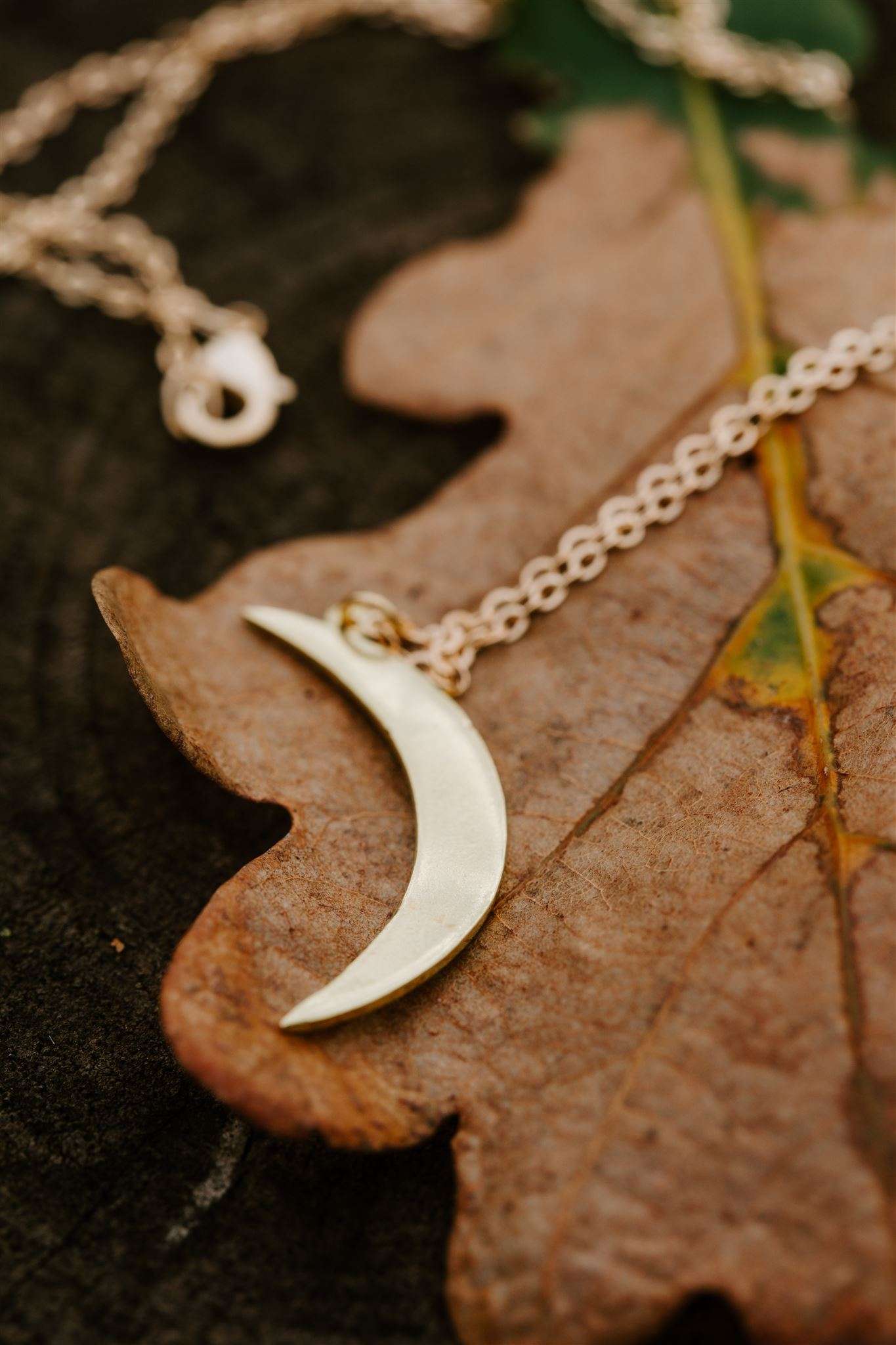 Brass moon necklace