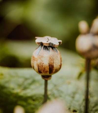 ceramic-poppy-on-rod