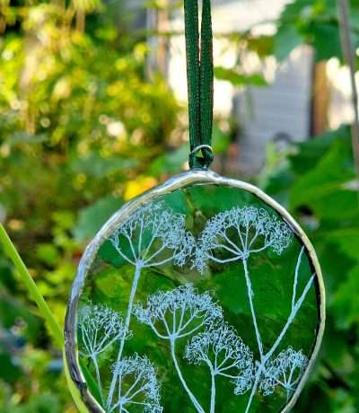 cow parsley on green glass frame