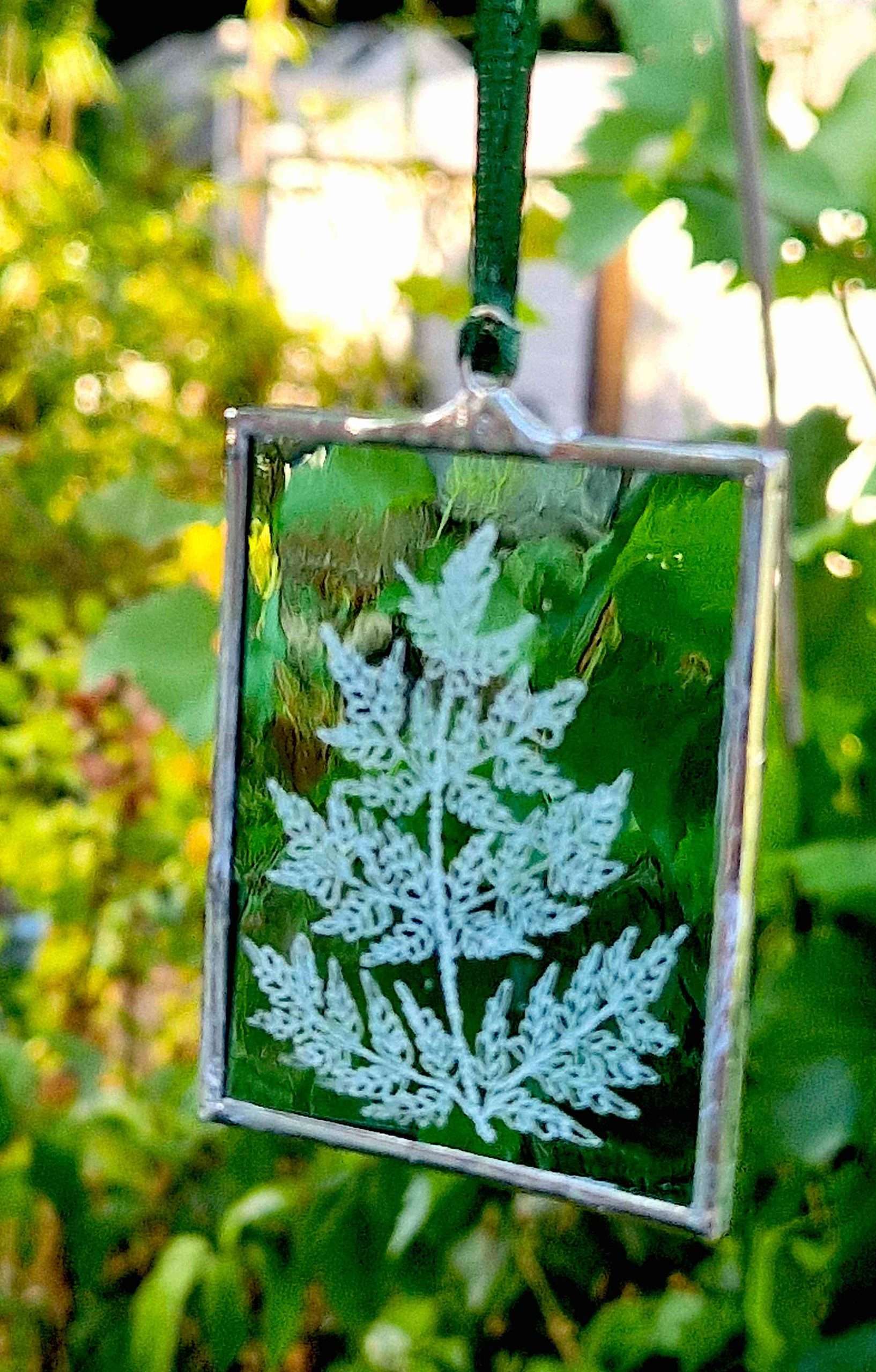 fern on green glass frame
