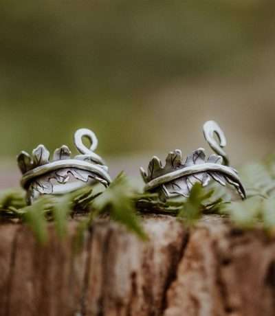Fern rings alt