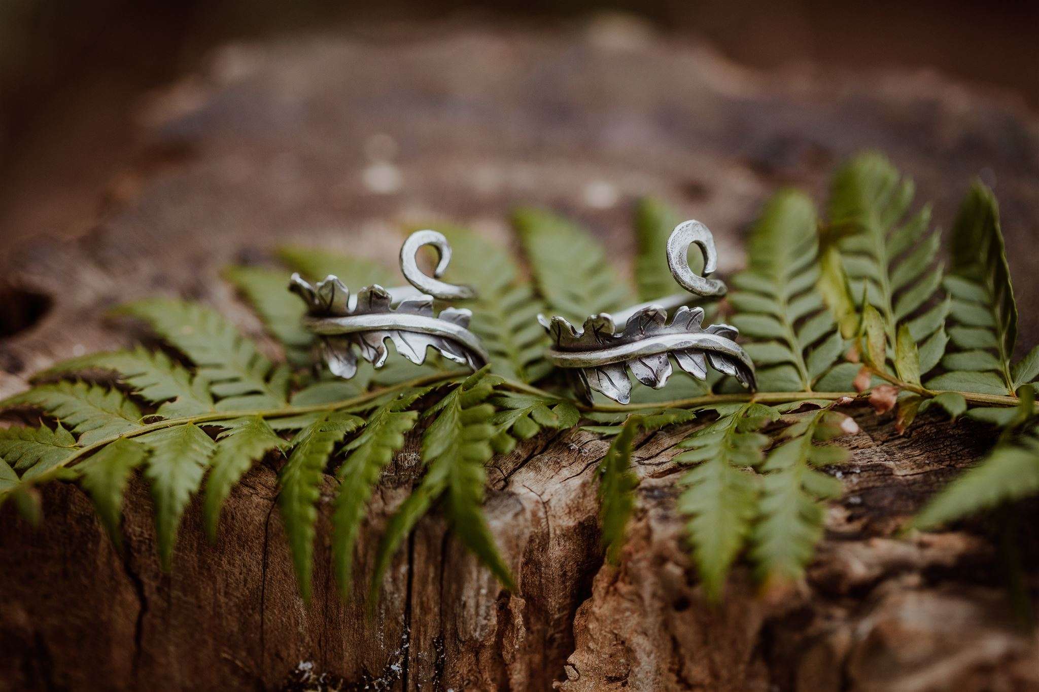fern silver rings main