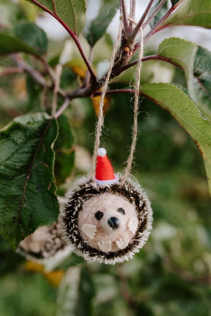 felt hedgehog with hat