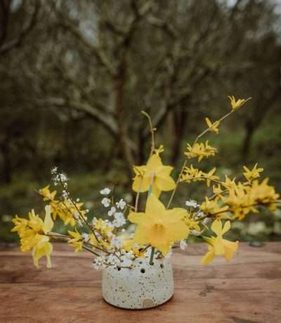 Ikebana main shot
