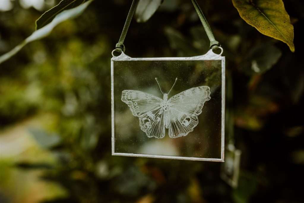butterfly engraved frame