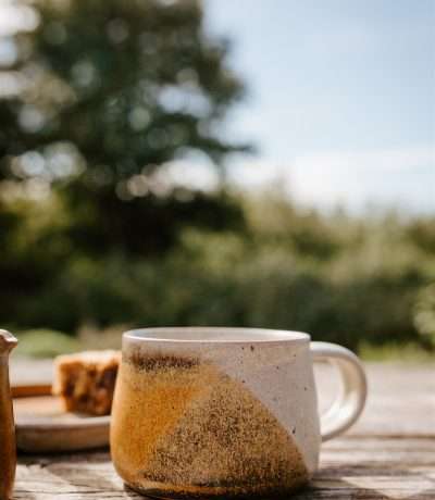 Fired earth mug alt