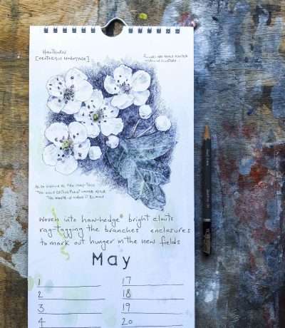 may calendar page