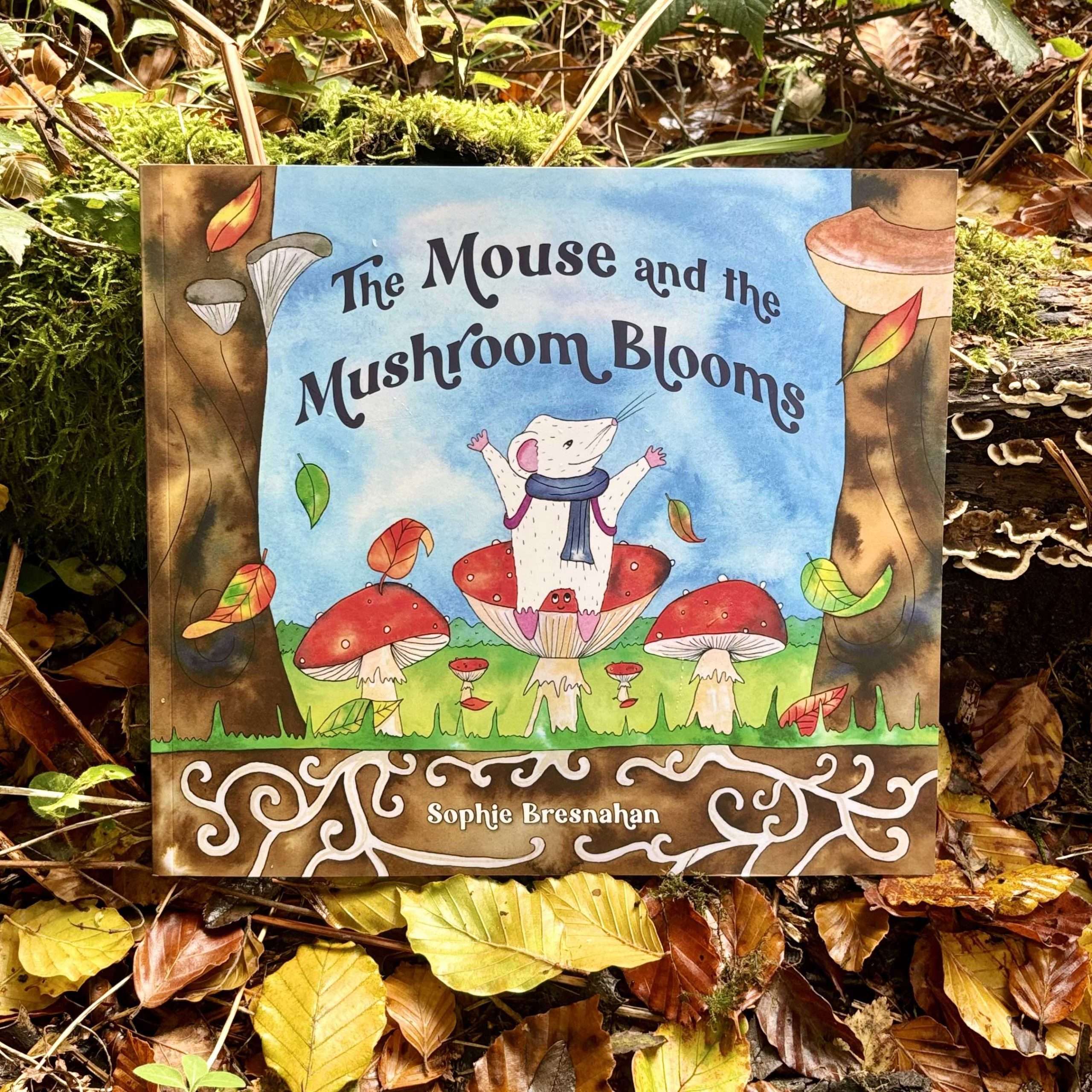 mouse and mushroom book main