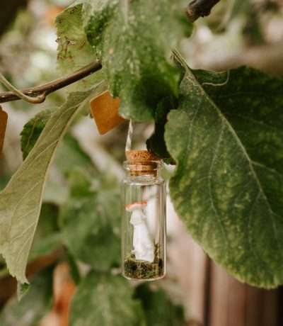 mushroom bottle close up