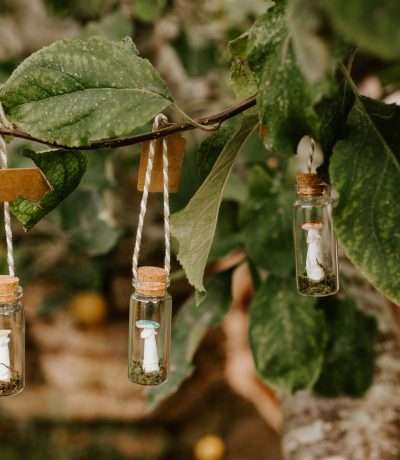 mushroom bottles group