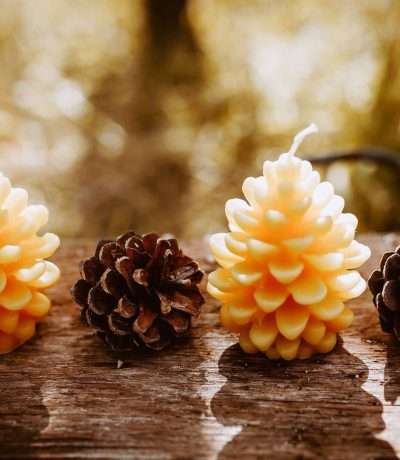 pinecone candles updated