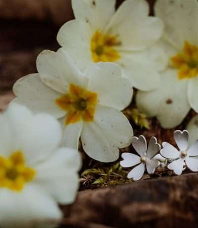 Silver primrose earrings