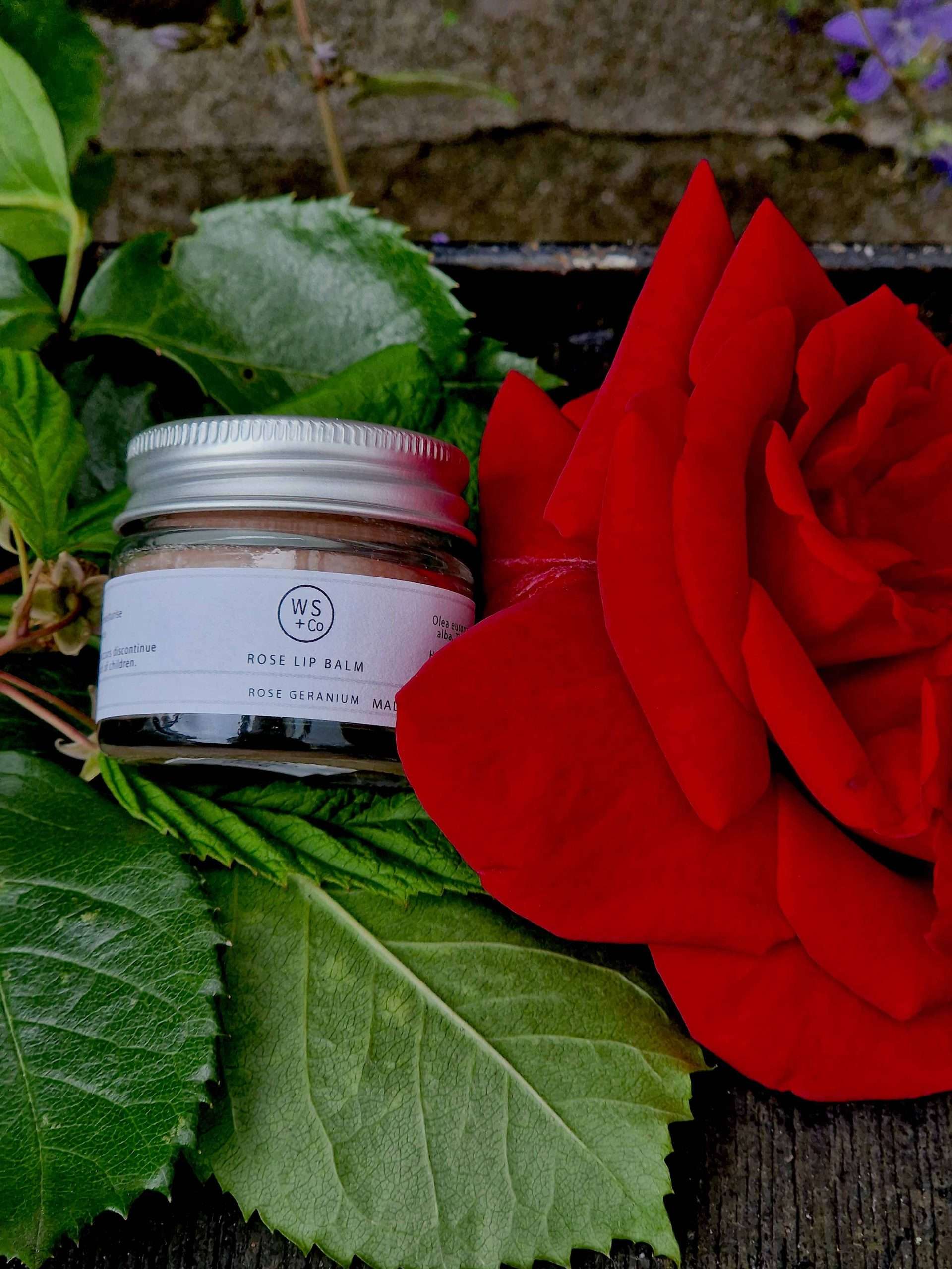wild sage rose lip balm