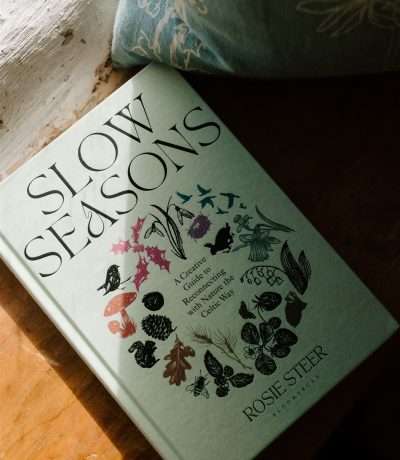 Slow Seasons book new