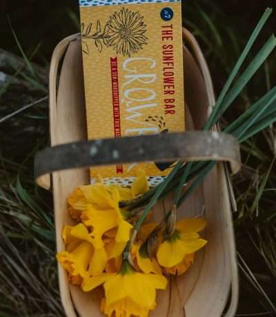sunflower grow bar main