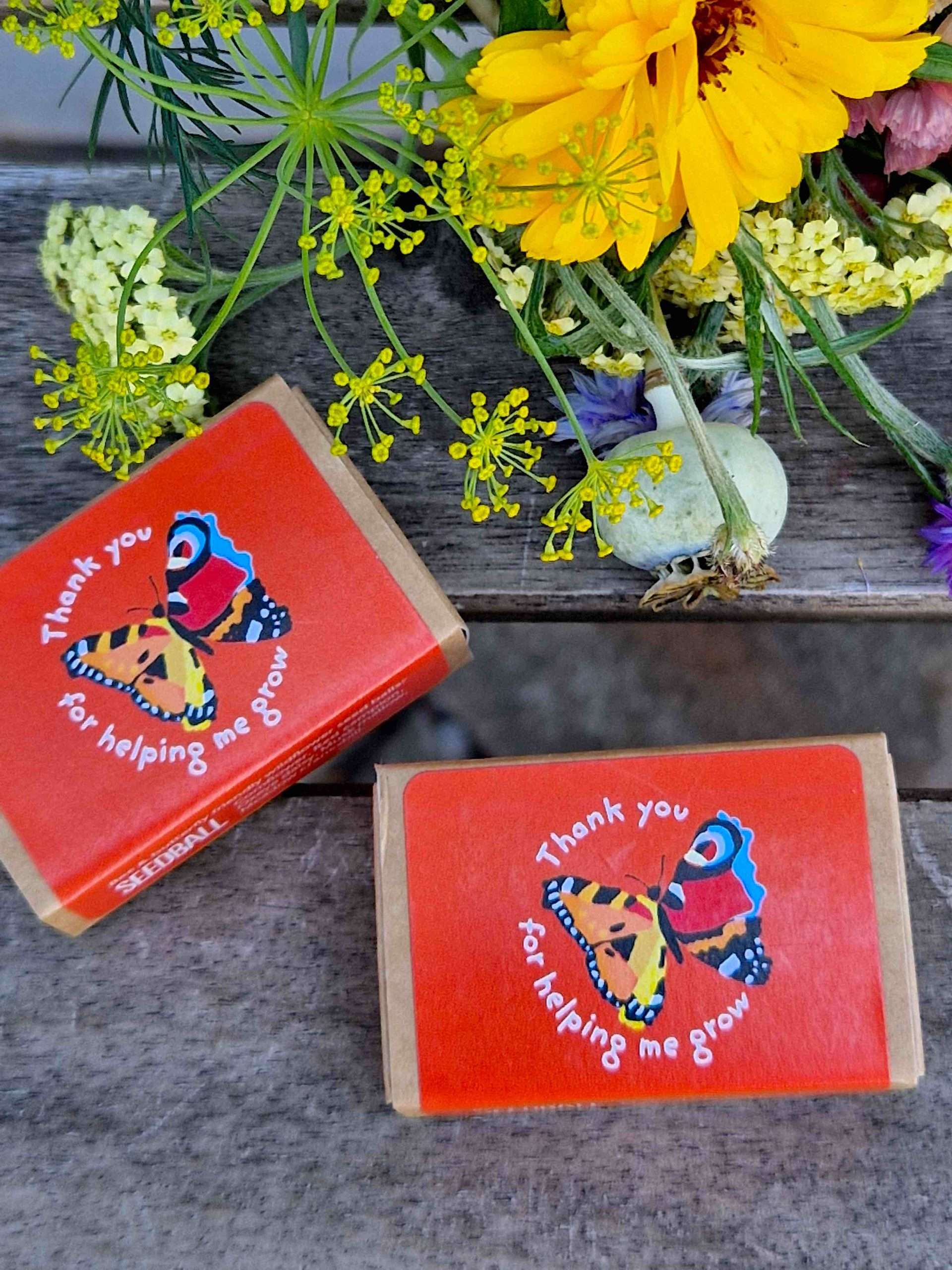thank you seed boxes