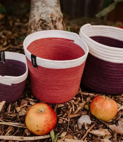 twig autumnal colour pots