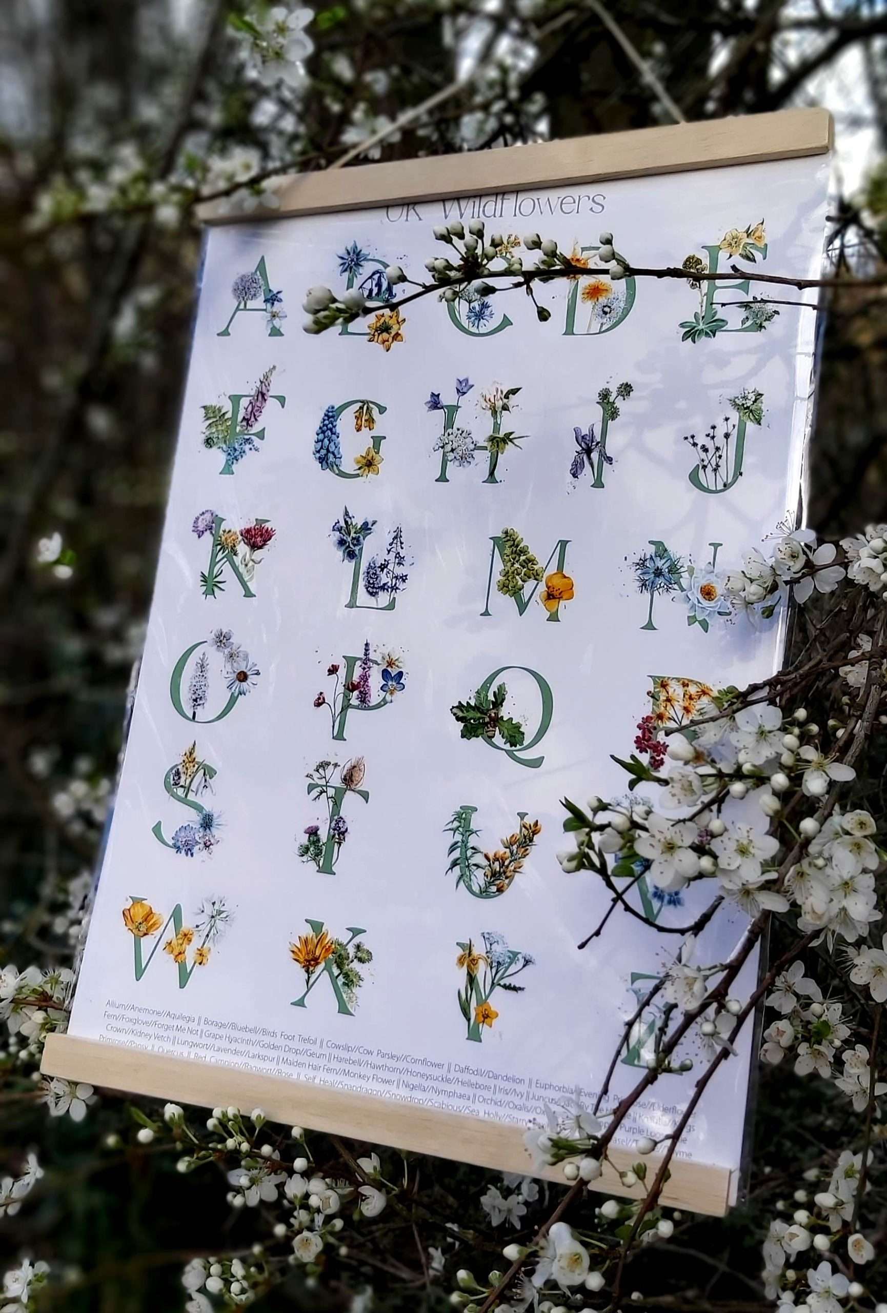 wildflower alphabet print