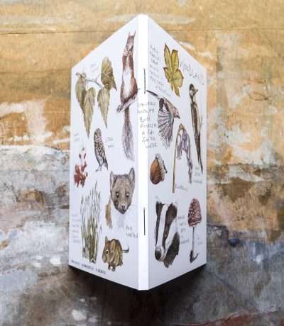 woodland notebook back and front